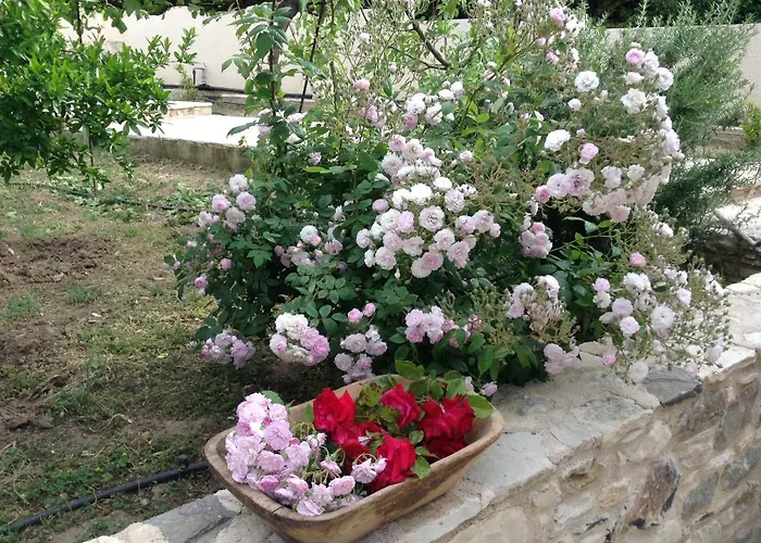 Chaihoutes Stone House And Into Olive Farm In Zia