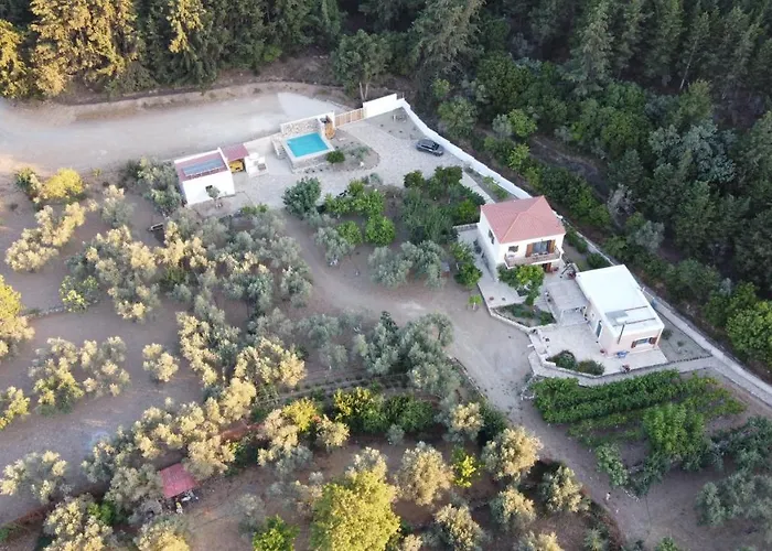 Chaihoutes Stone House And Into Olive Farm In Zia