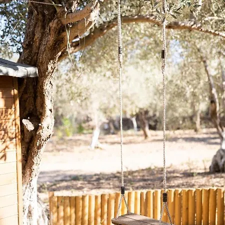 Séjour à la ferme Chaihoutes Stone House And Into Olive Farm In Zia *