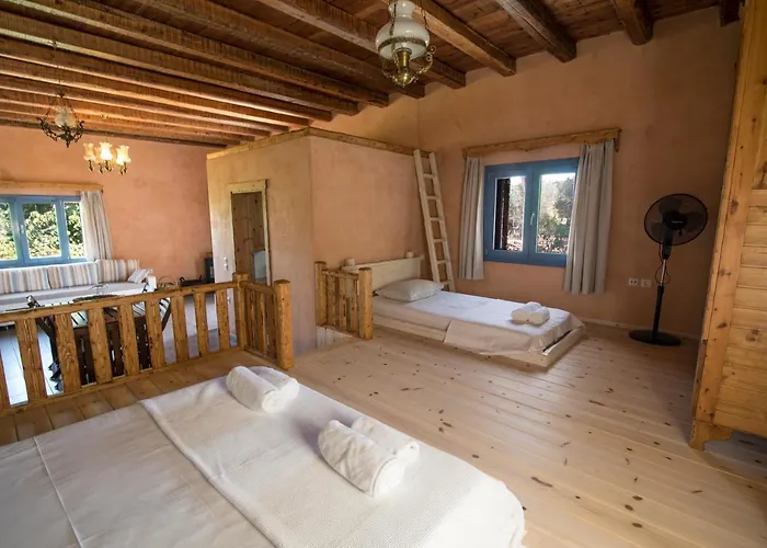 Chaihoutes Stone House And Into Olive Farm In Zia مزرعة للإقامة Agios Dimitrios (Kos)