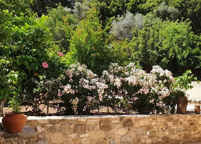 Chaihoutes Stone House And Into Olive Farm In Zia 팜스테이