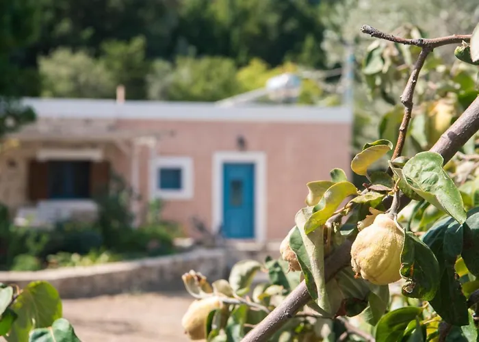 Chaihoutes Stone House And Into Olive Farm In Zia *