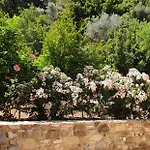Chaihoutes Stone House And Into Olive Farm In Zia Çiftlik konaklama