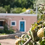 Chaihoutes Stone House And Into Olive Farm In Zia *