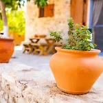 Chaihoutes Stone House And Into Olive Farm In Zia *