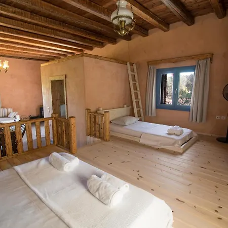 Chaihoutes Stone House And Into Olive Farm In Zia Alojamento de Turismo Rural Agios Dimitrios (Kos)