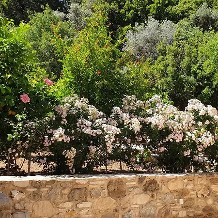 Chaihoutes Stone House Into Olive Farm In Zia Farm stay