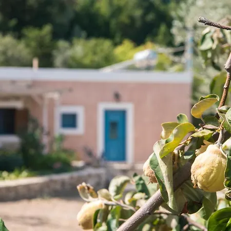 Chaihoutes Stone House Into Olive Farm In Zia *