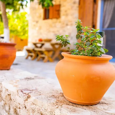 Chaihoutes Stone House Into Olive Farm In Zia *