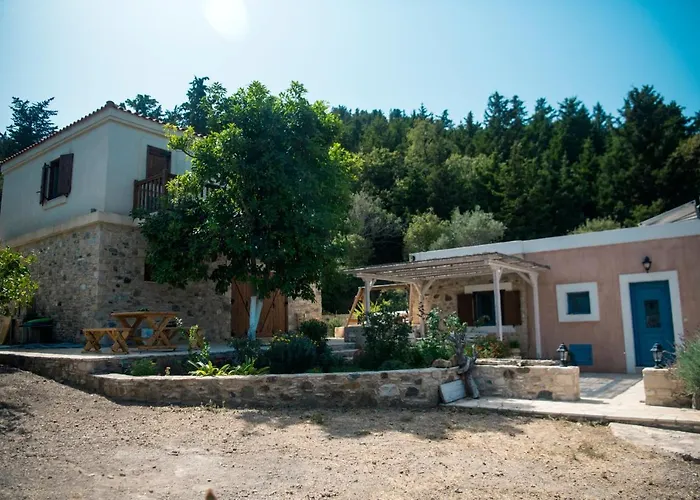 Chaihoutes Stone House And Into Olive Farm In Zia *