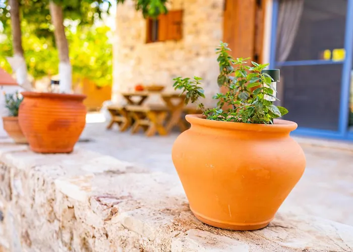 Chaihoutes Stone House And Into Olive Farm In Zia *